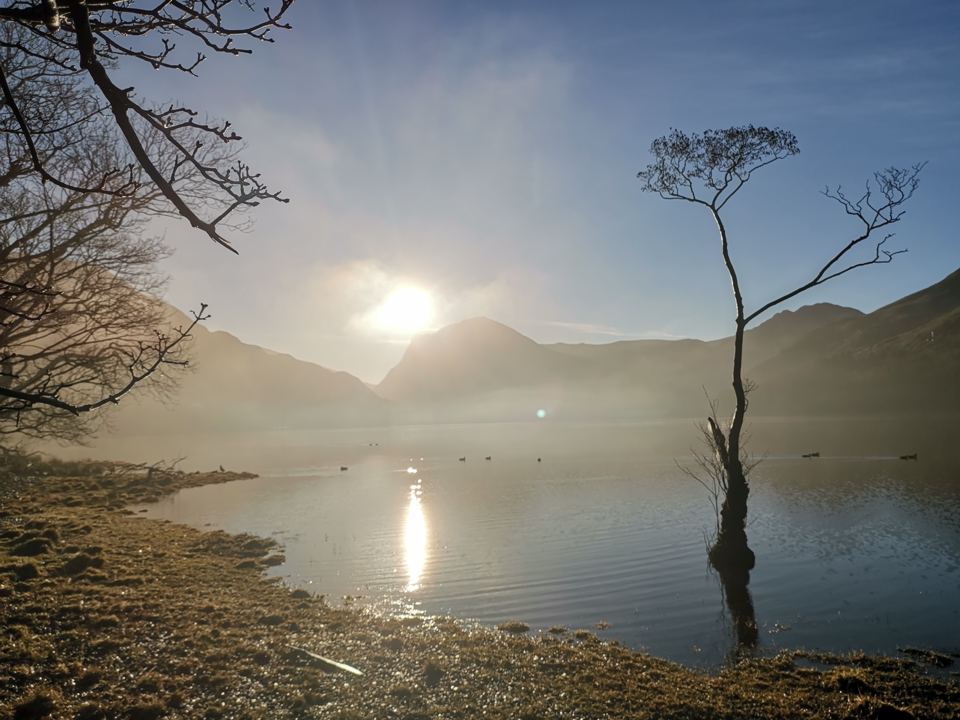 Lake at dawn with a bare tree