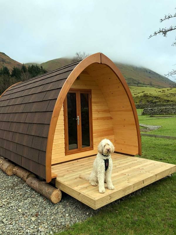 Wooden pod with a dog on the deck