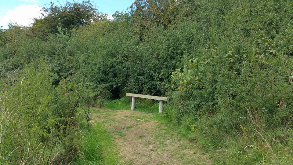 Footpath through the hedge