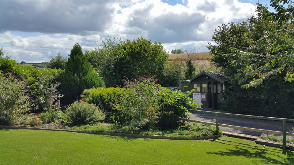 Garden beside the site road
