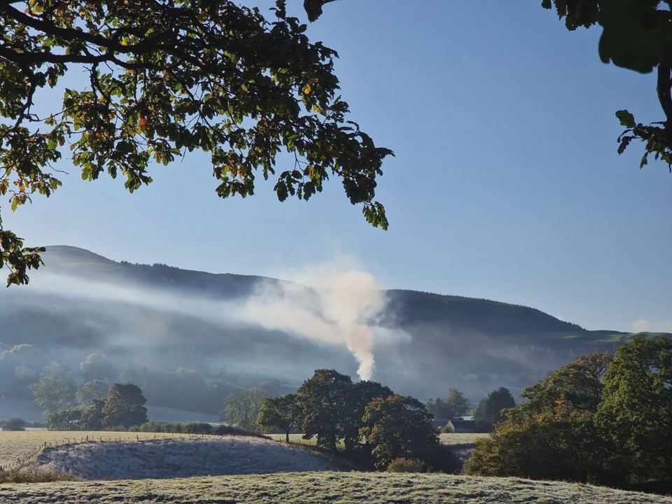 Valley view from the site