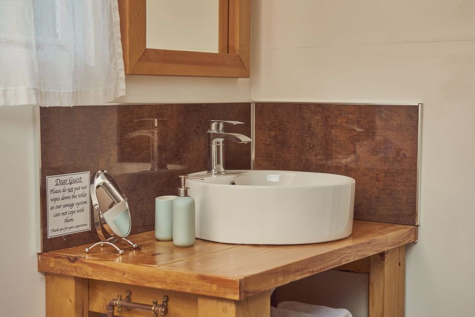 Lodge bathroom basin