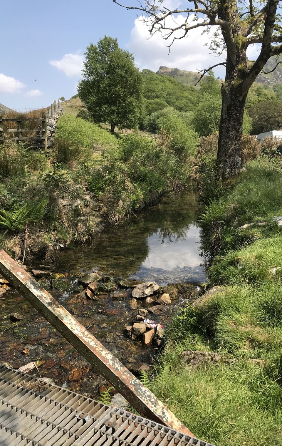 Stream beside the farm