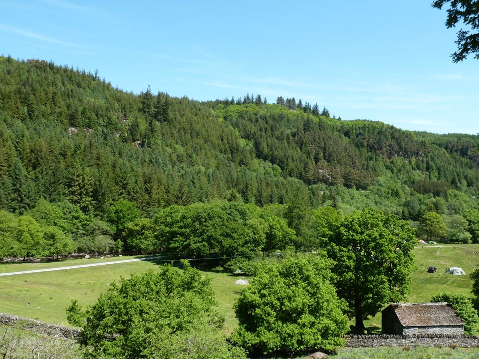 Wooded hillside over the farm