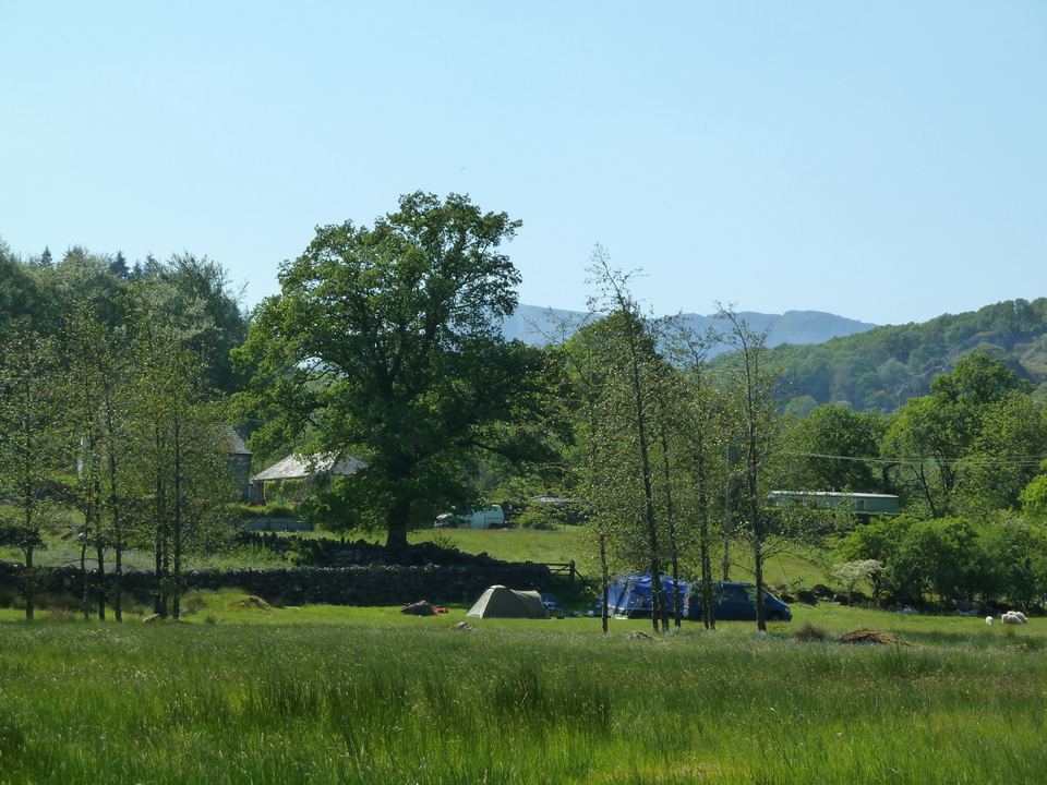 Camping field with trees