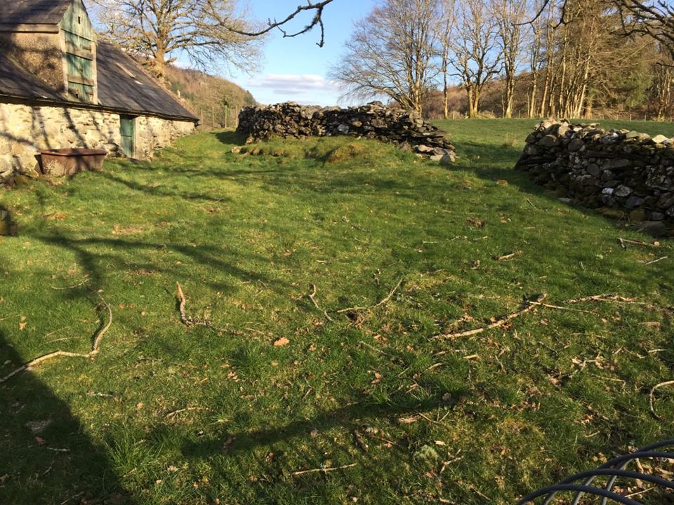 Grass by the old farm walls