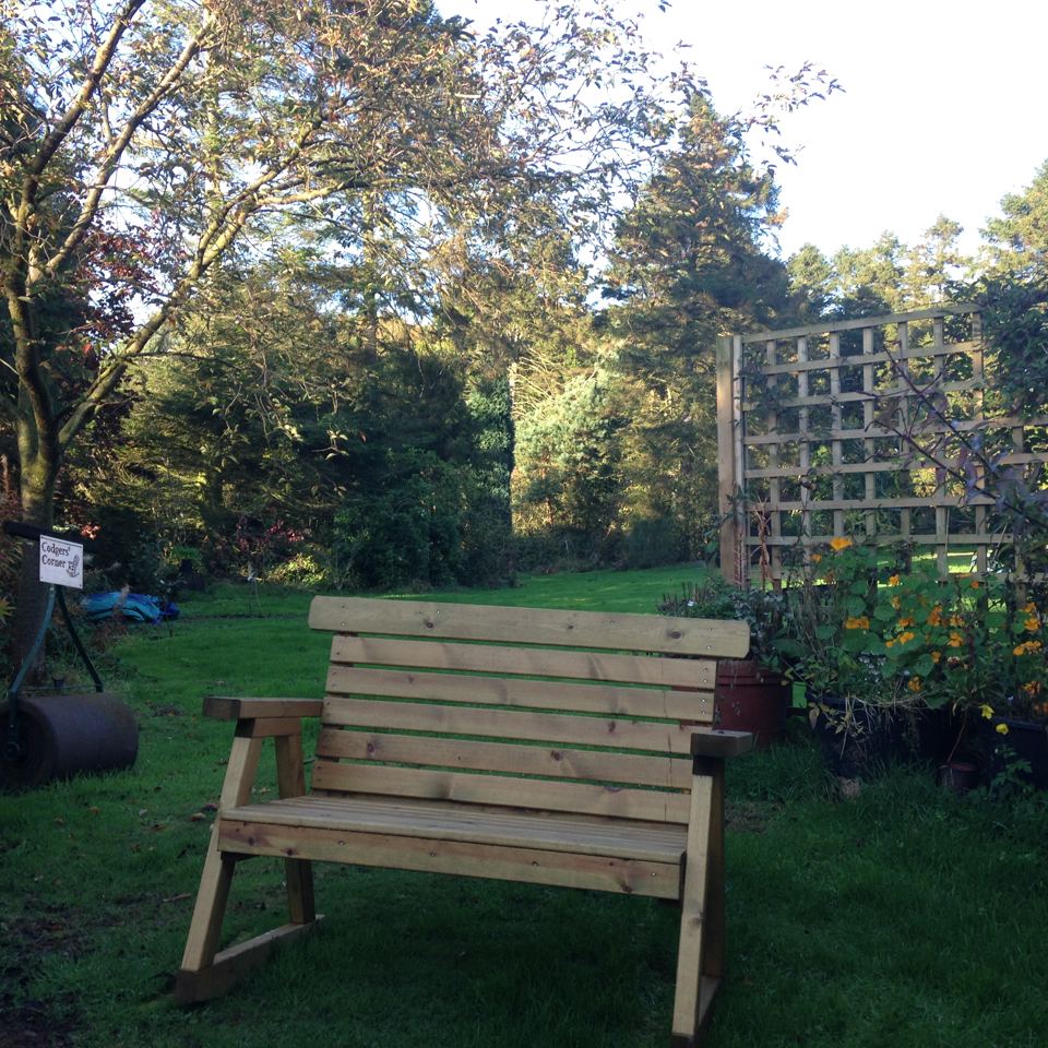 Bench on the lawn