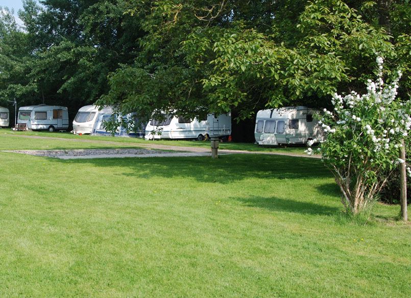 Caravans under the trees