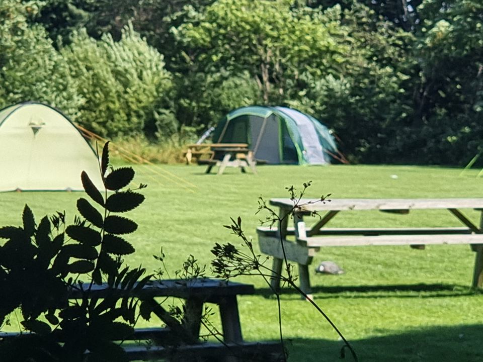 Tents on the grass