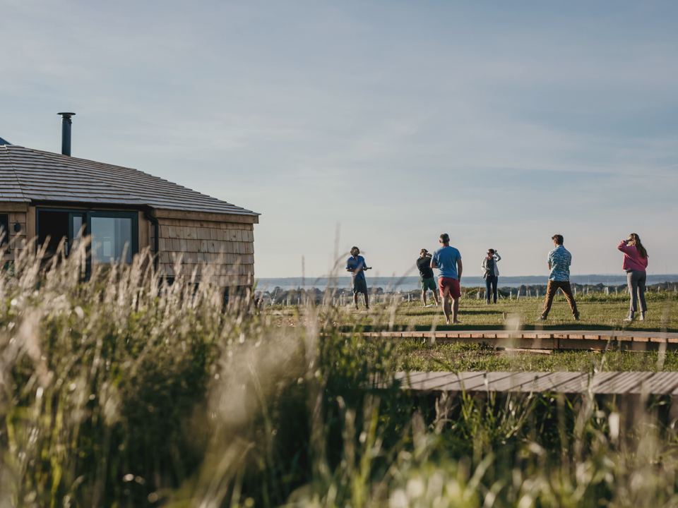 Cabin and wild grass by the sea