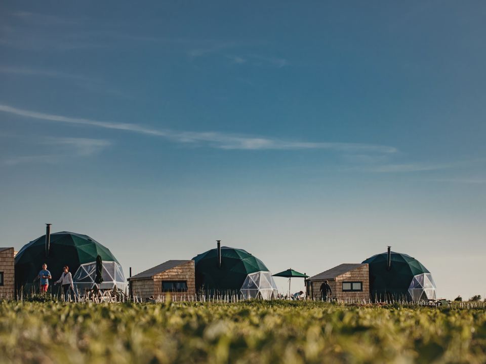 Domes in the meadow