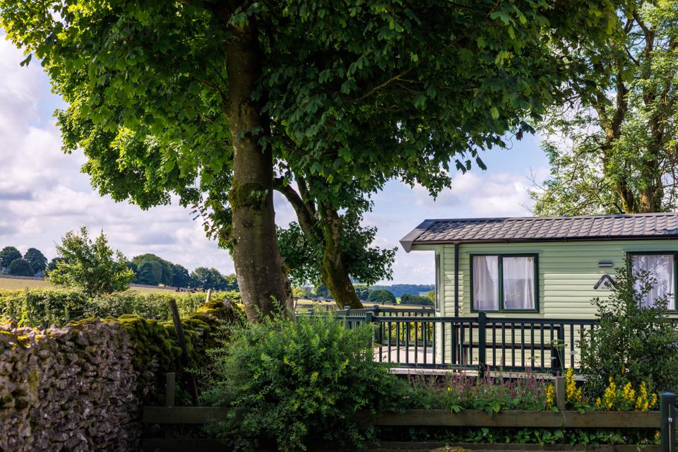 Green caravan under an oak tree