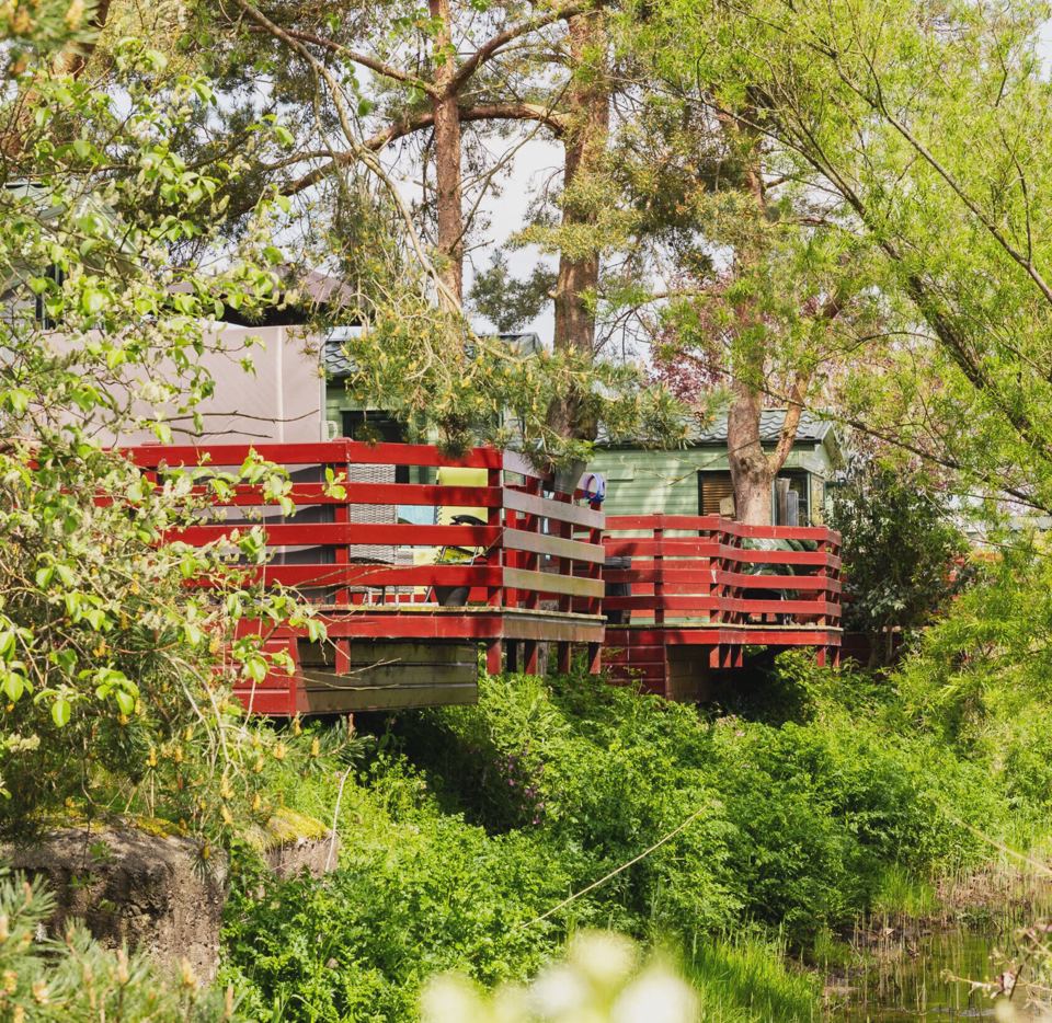 Caravan decking among trees