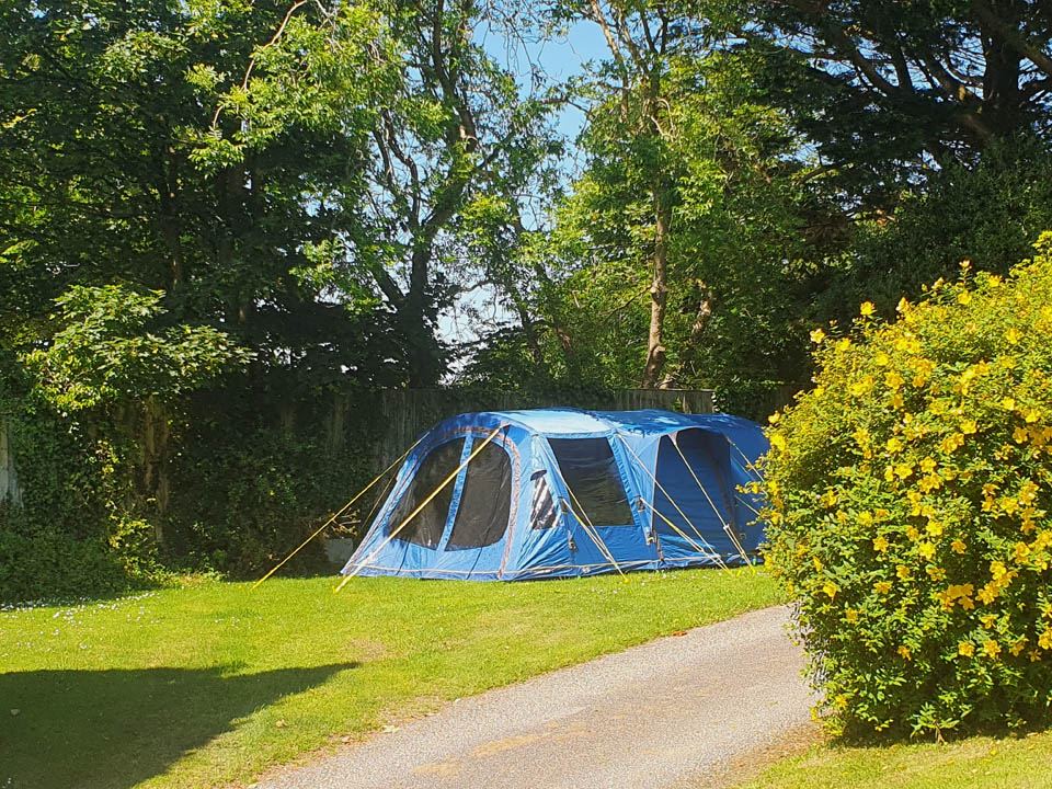 Tent on a hedged grass pitch