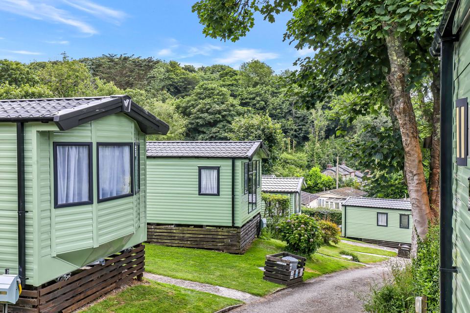 Holiday caravans among trees