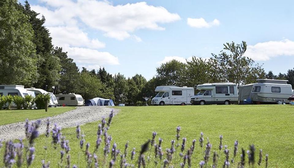 Motorhome pitches beside the lavender