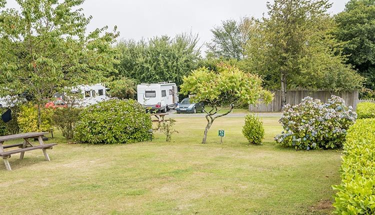 Caravans among the shrubs