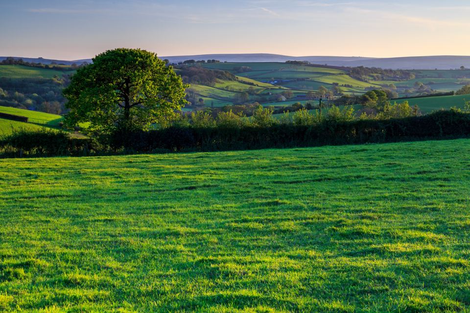 Green field under the hills