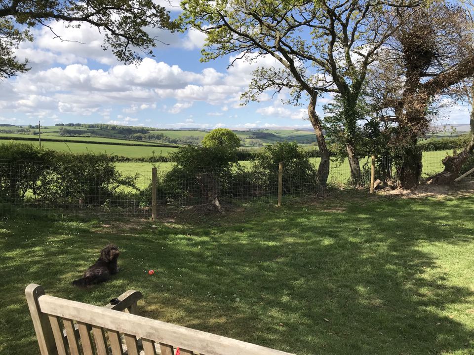 Fields and trees from the bench