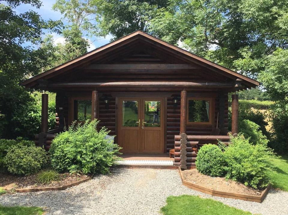 Log cabin among shrubs