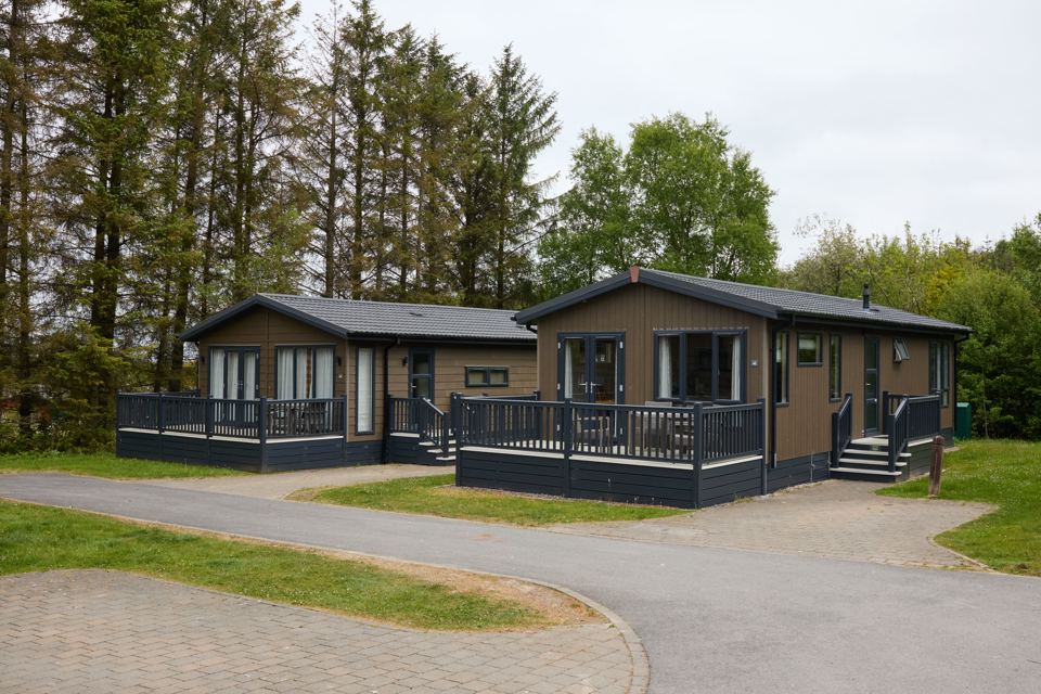 Lodges among the trees