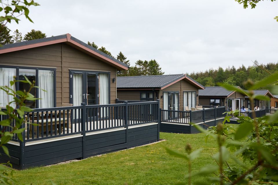 Lodges with decking in the trees