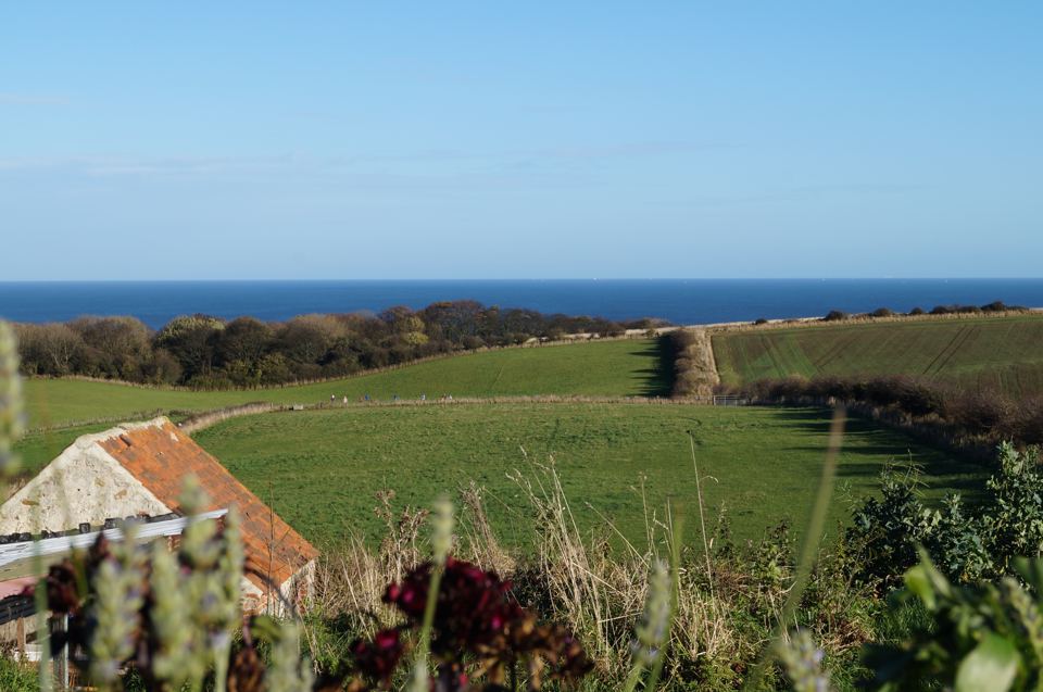 Sea beyond the fields
