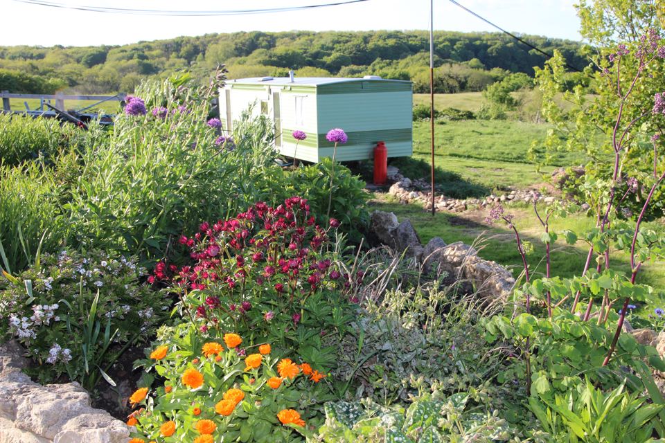 Vintage caravans among flowers