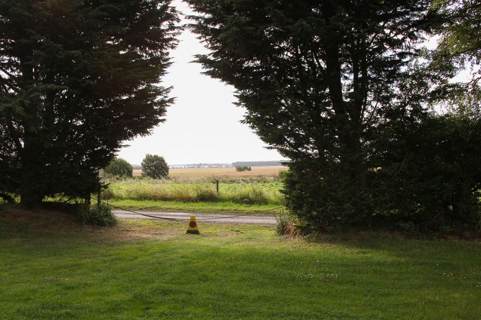 Grass at the site entrance