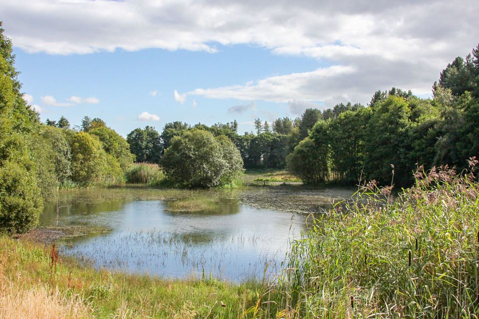 Morton Lochs