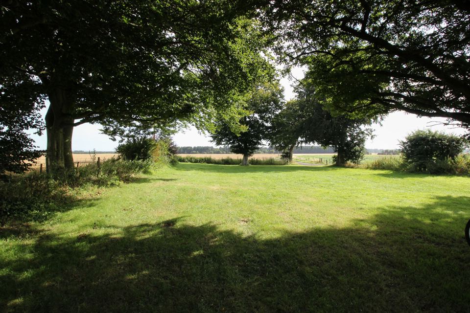 Shaded grass pitches