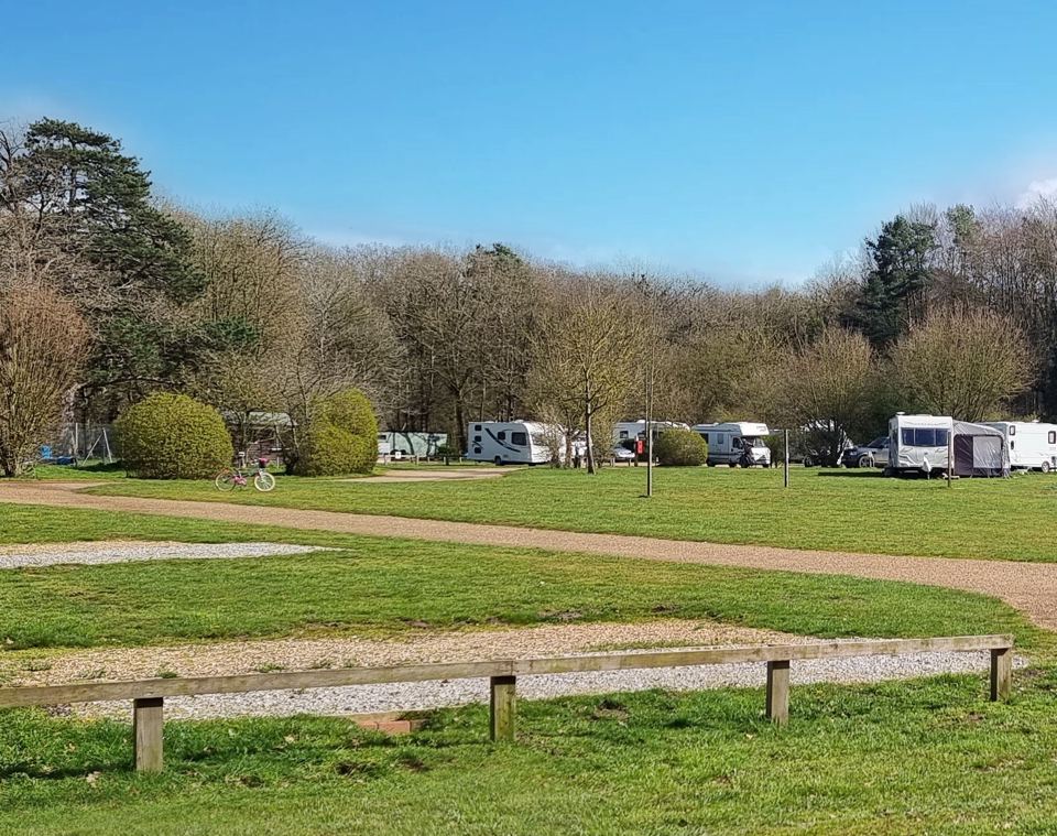 Touring pitches among trees
