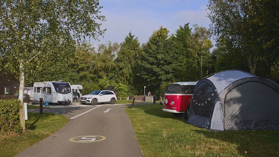 Hardstanding pitches among trees