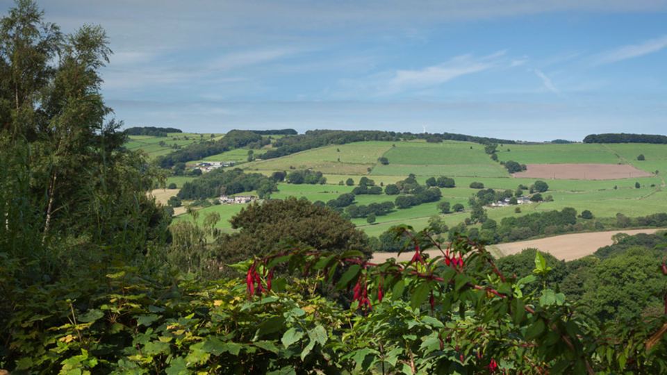 Hills above the site