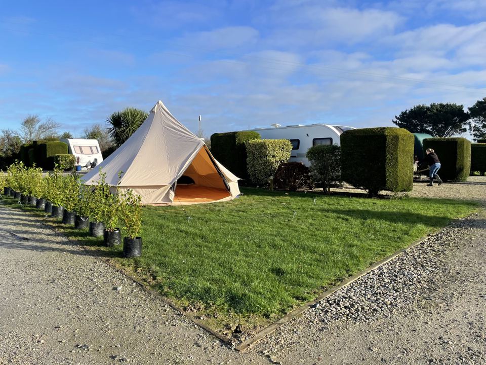 Bell tent between the hedges