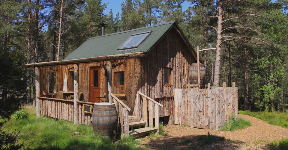 Hut in the pine forest
