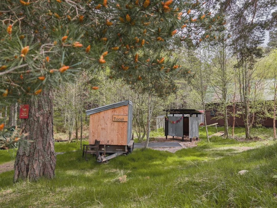 Huts among the trees