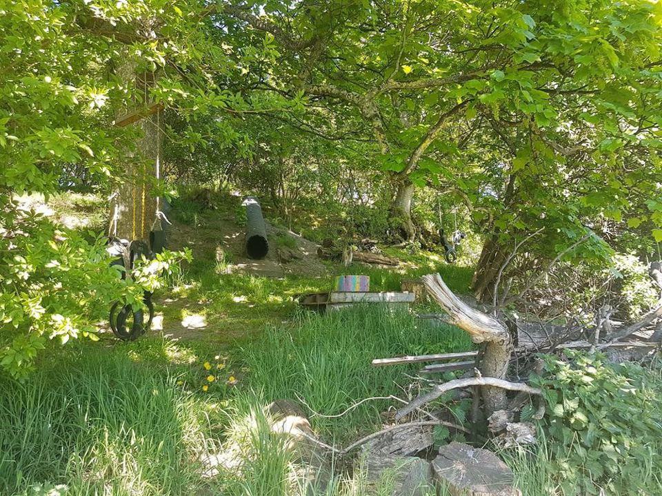Wooded corner of the farm