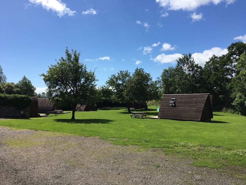 Wigwam pods under the trees