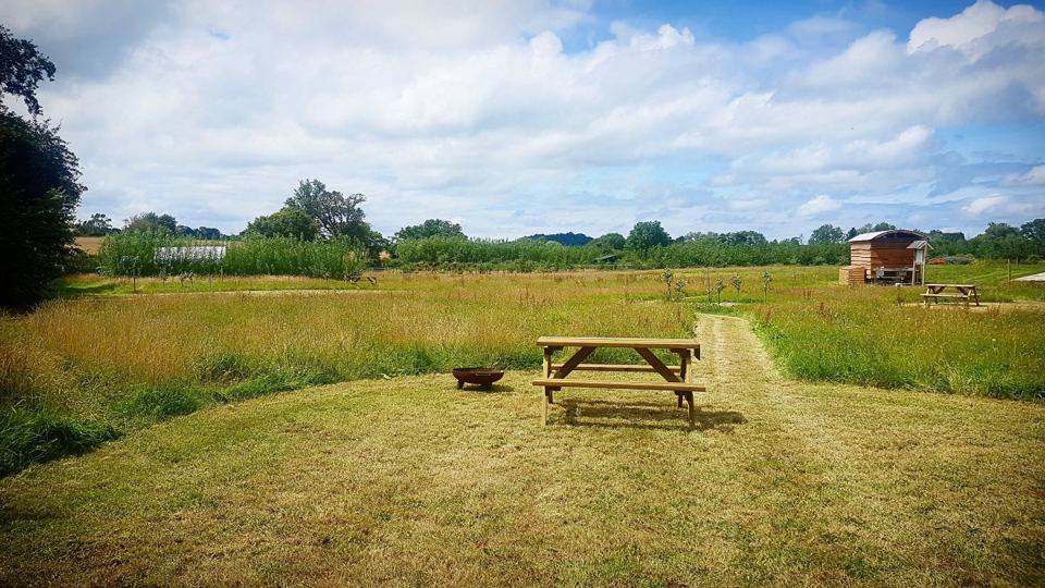 Mown pitch with fire pit
