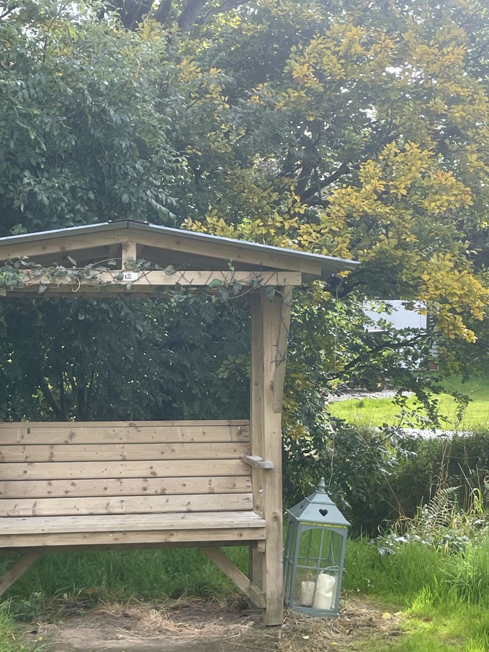 Garden seat by the hedge