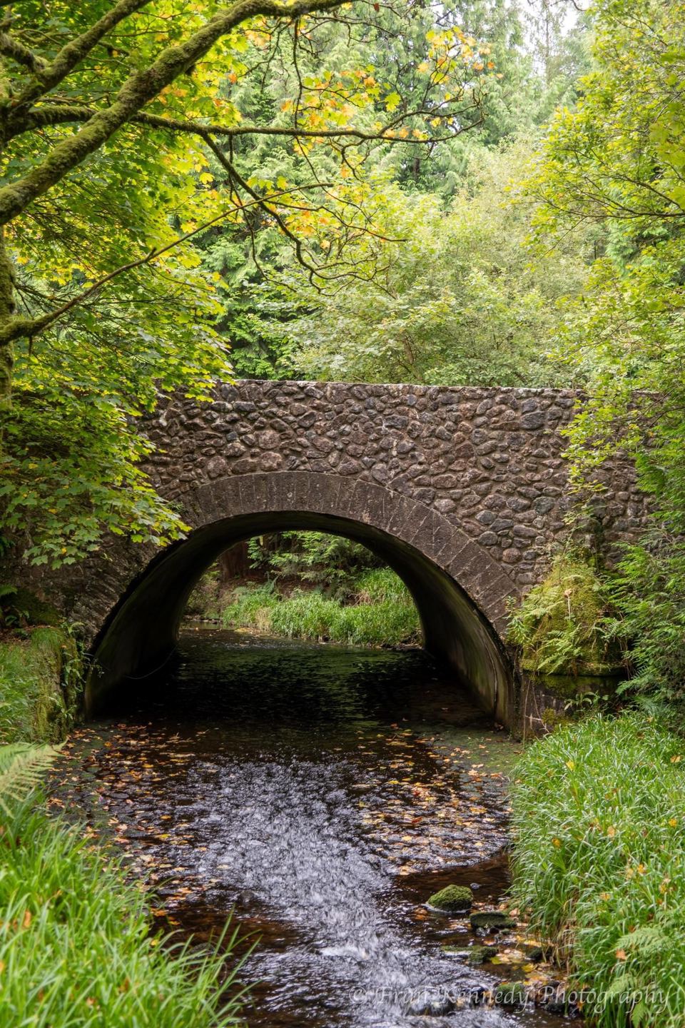 Stone bridge over the brook