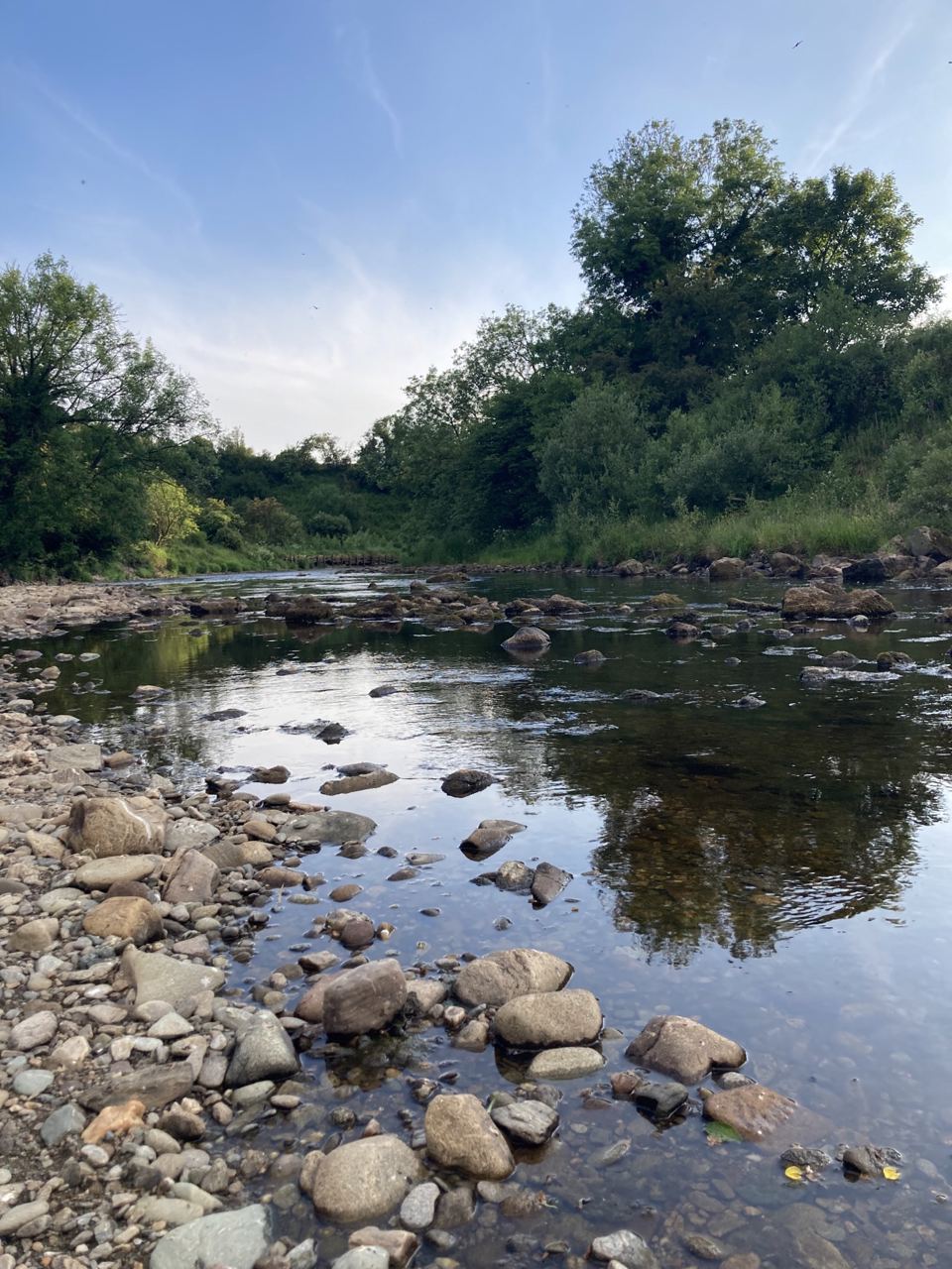 Stony river nearby