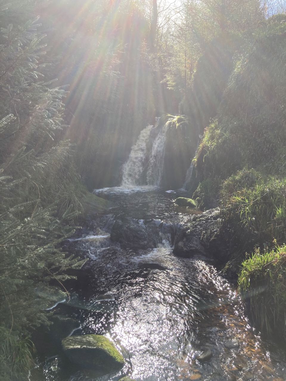 Waterfall in the woods