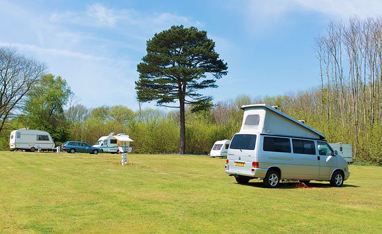 Campervans on the camping meadow