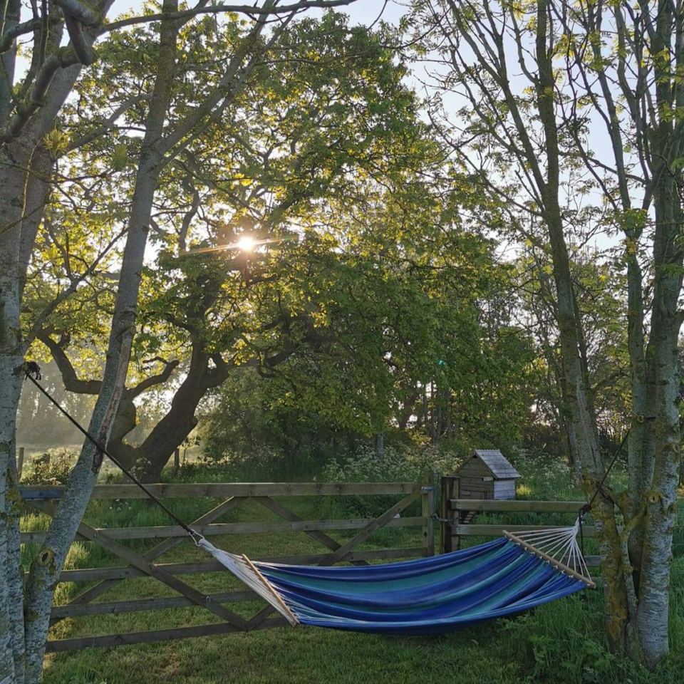 Hammock by a gate under trees