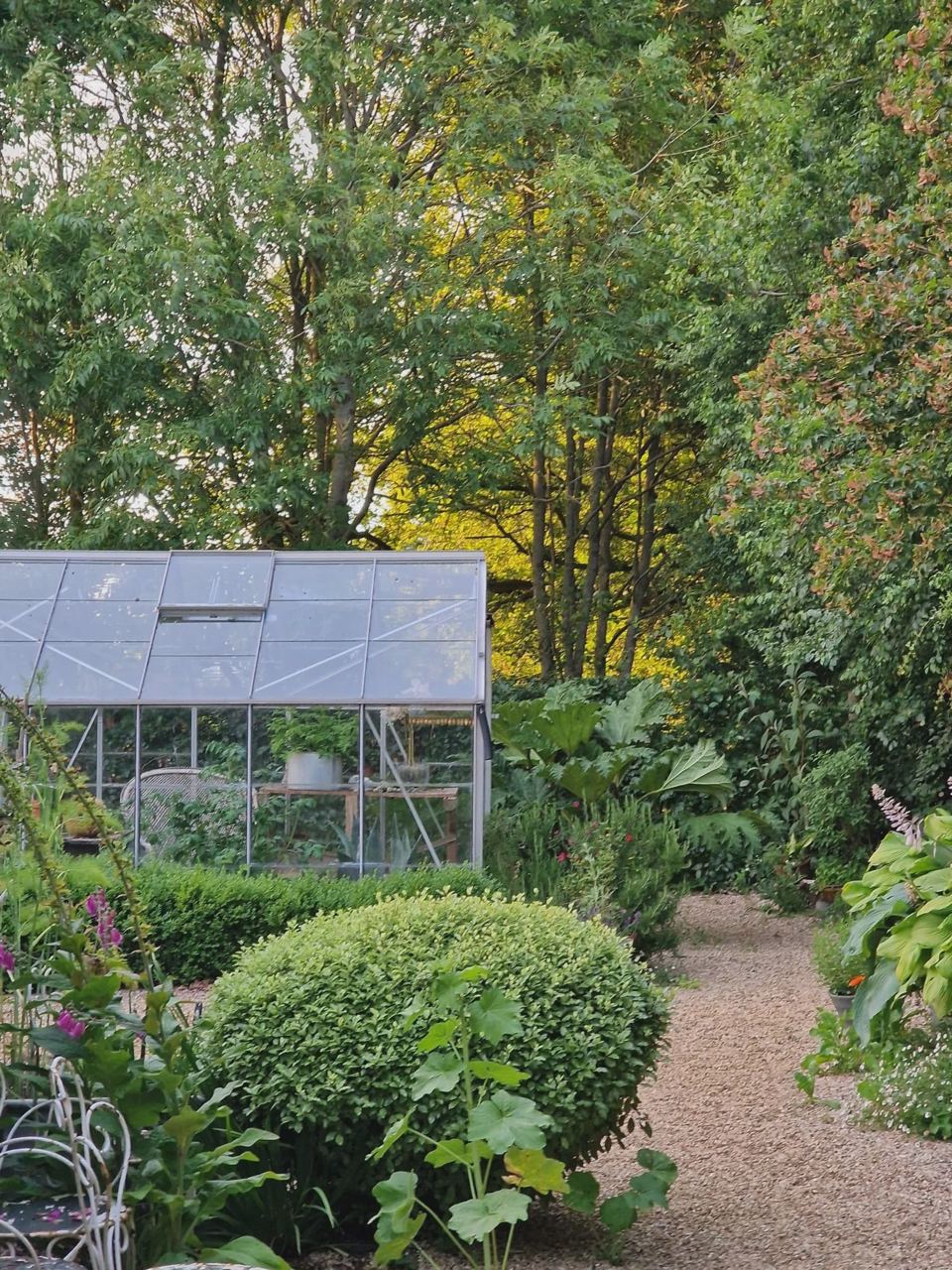 Greenhouse and garden paths
