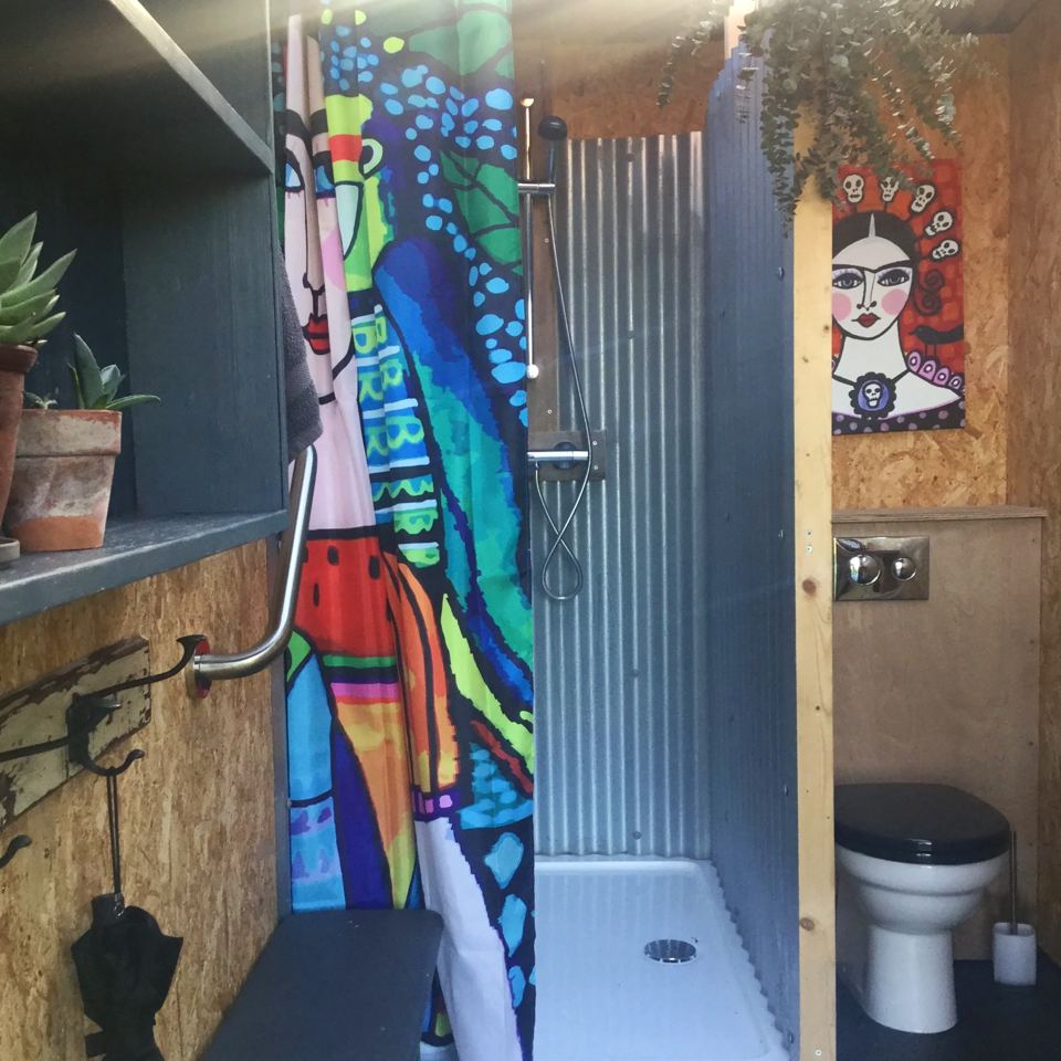 Washroom shower and toilet