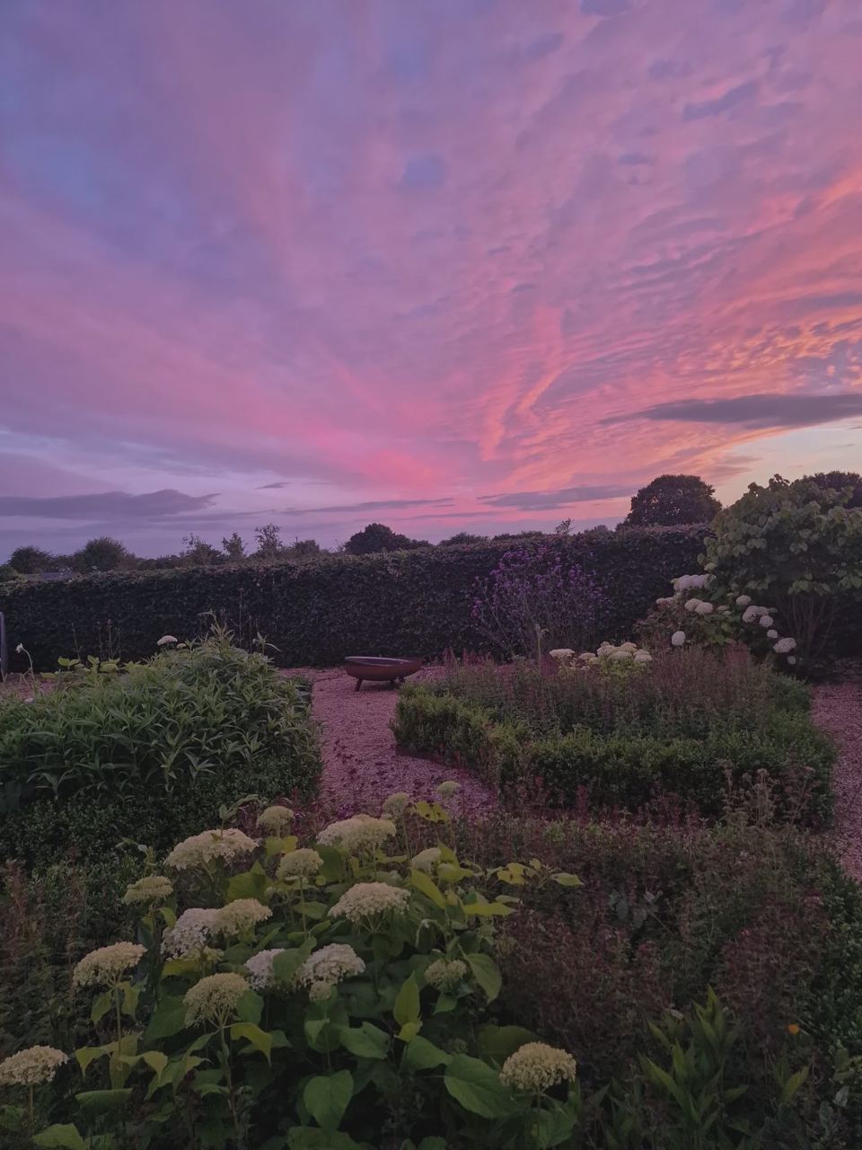 Evening sky over the gardens