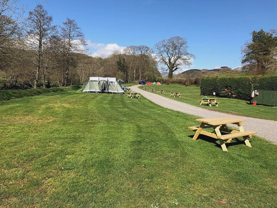Grass tent pitch with picnic bench